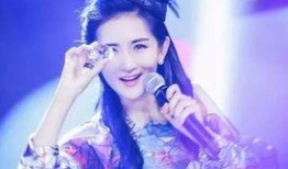 谢娜最新爆料,揭秘娱乐圈不为人知的幕后故事