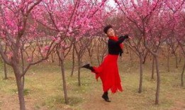 桃花开在线观看,在线赏花，共赴春日浪漫之旅