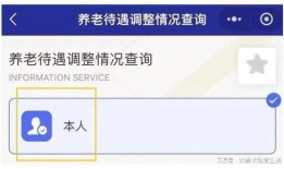 养老金最新爆料信息查询,揭秘最新爆料背后的政策调整与影响